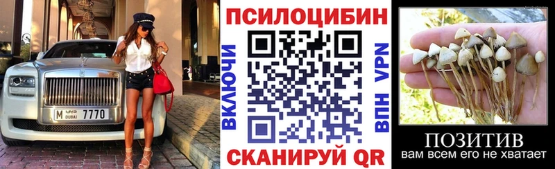 Псилоцибиновые грибы мицелий  где купить наркотик  Белоярский 